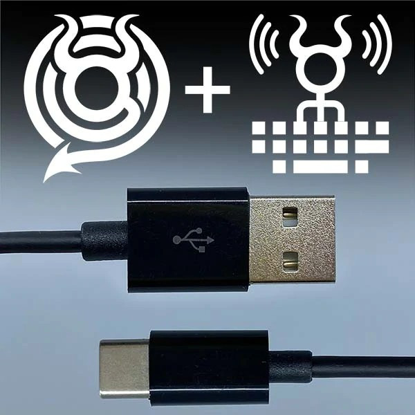 Buy O.MG KEYLOGGER CABLE by Hak5, USBC TO USBA